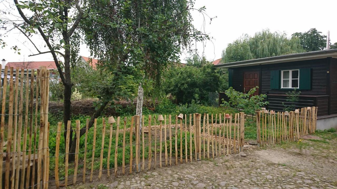 דירות Meisdorf Huette Mit Herz Im Harz מראה חיצוני תמונה